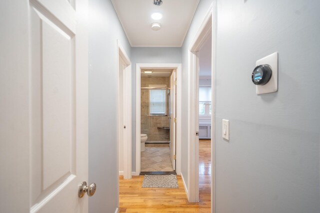 5 Forest Rd, Valley Stream, NY 11581 - hallway featuring light wood-type flooring and ornamental molding