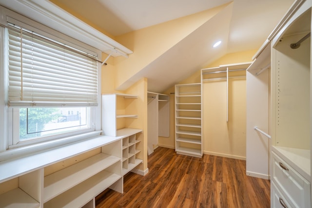 5 Forest Rd, Valley Stream, NY 11581 - walk in closet with lofted ceiling and dark wood-style floors