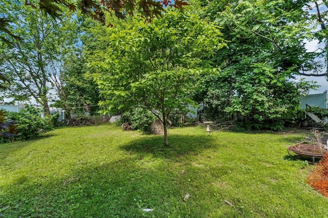 163 Cannon St, Poughkeepsie, NY 12601 - view of yard