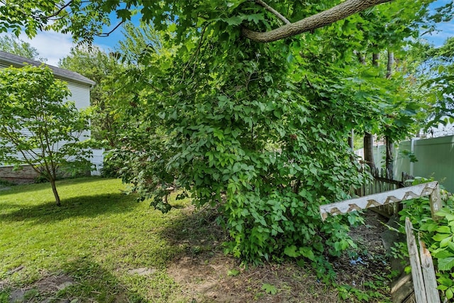 163 Cannon St, Poughkeepsie, NY 12601 - view of yard