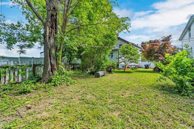 163 Cannon St, Poughkeepsie, NY 12601 - view of yard