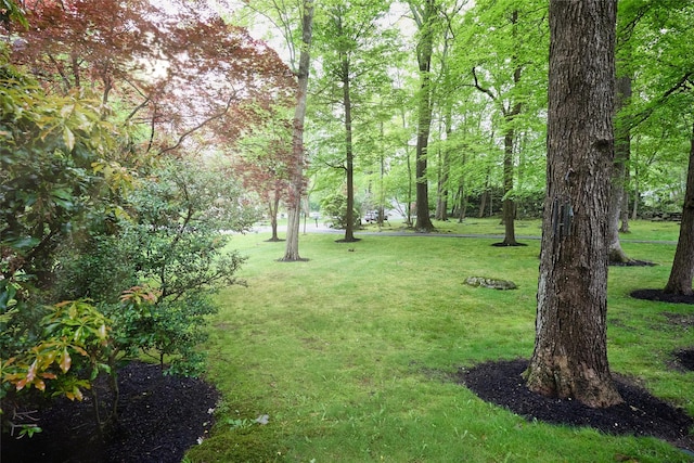 31 Greenlawn Rd, Katonah, NY 10536 - view of green lawn