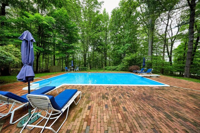 31 Greenlawn Rd, Katonah, NY 10536 - view of pool with a patio, view of wooded area, and a diving board