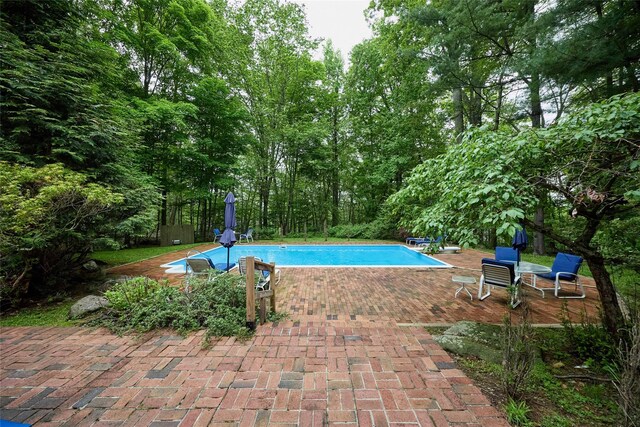 31 Greenlawn Rd, Katonah, NY 10536 - swimming pool with a patio