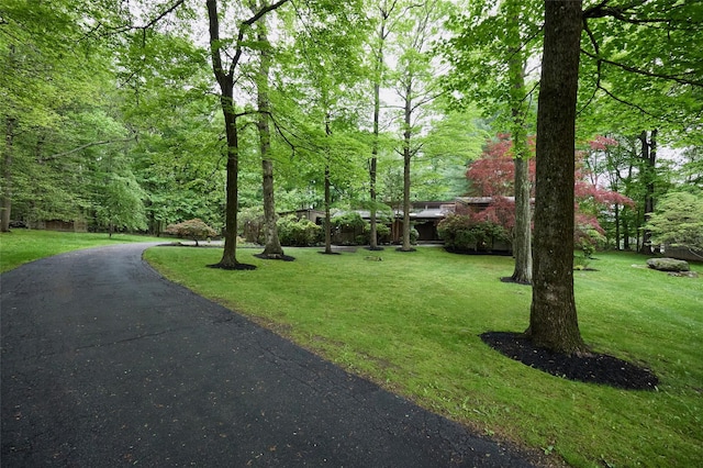 31 Greenlawn Rd, Katonah, NY 10536 - view of property's community featuring a yard and driveway