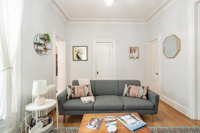 175 Liberty St, Newburgh, NY 12550 - living area with wood finished floors, ornamental molding, and baseboards