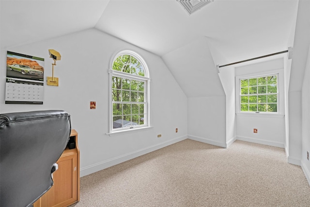 24 Hampton Ct, Wallkill, NY 12589 - unfurnished office featuring vaulted ceiling, healthy amount of natural light, light colored carpet, and baseboards