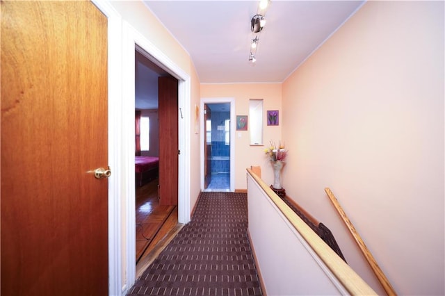 2179 E 26th St, Brooklyn, NY 11229 - hall with carpet flooring