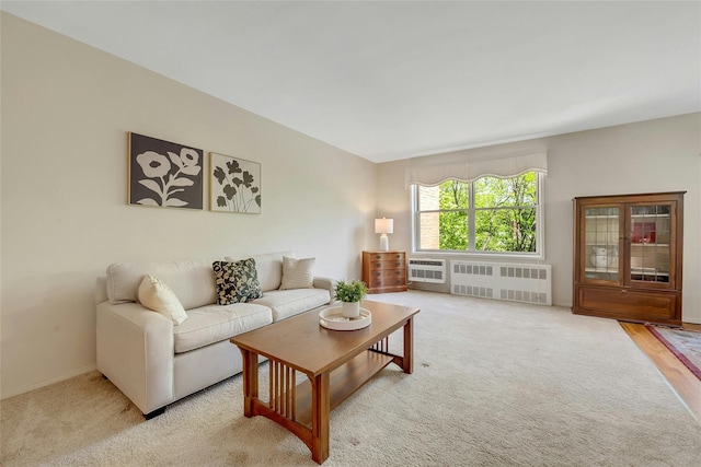 177 E Hartsdale Ave Unit 5L, Hartsdale, NY 10530 - carpeted living room with radiator and baseboards