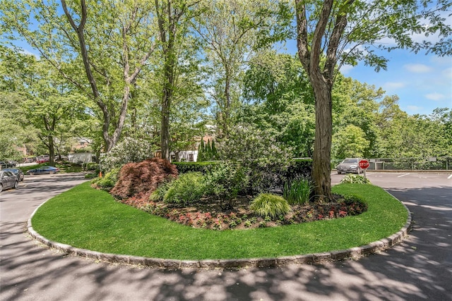 177 E Hartsdale Ave Unit 5L, Hartsdale, NY 10530 - view of property's community