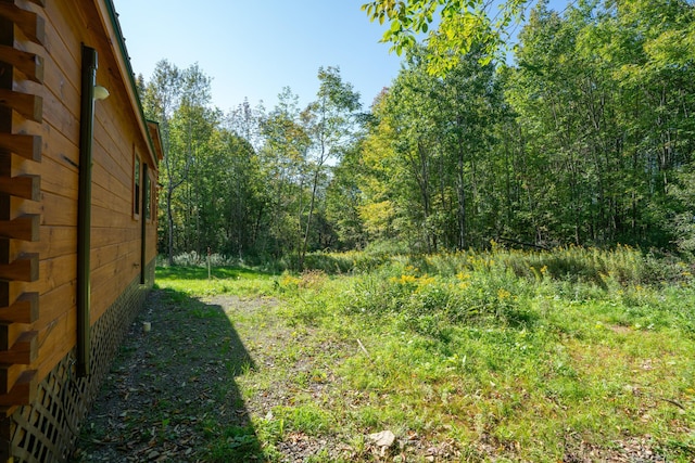 2155 Ed Klug Rd, Franklin, NY 13775 - photo 5