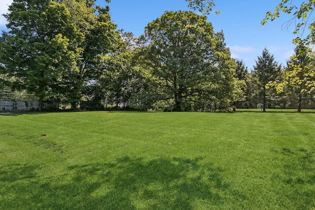 312 Diddell Rd, Poughkeepsie, NY 12603 - view of yard