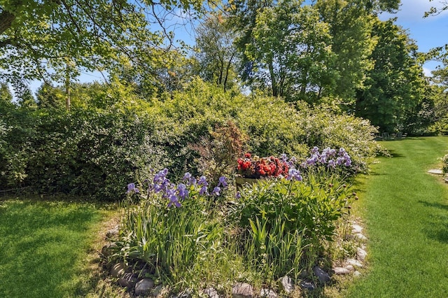 312 Diddell Rd, Poughkeepsie, NY 12603 - view of grassy yard
