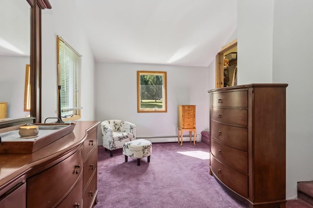 312 Diddell Rd, Poughkeepsie, NY 12603 - sitting room with baseboard heating, dark carpet, and plenty of natural light