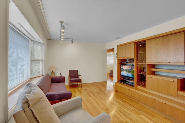 207 N 3rd St, Bethpage, NY 11714 - living area featuring light wood-style flooring, rail lighting, and baseboards