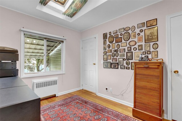 207 N 3rd St, Bethpage, NY 11714 - unfurnished office featuring radiator, wood finished floors, baseboards, crown molding, and a skylight