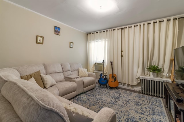 4 Oakley Pl, Mount Vernon, NY 10550 - living room with radiator