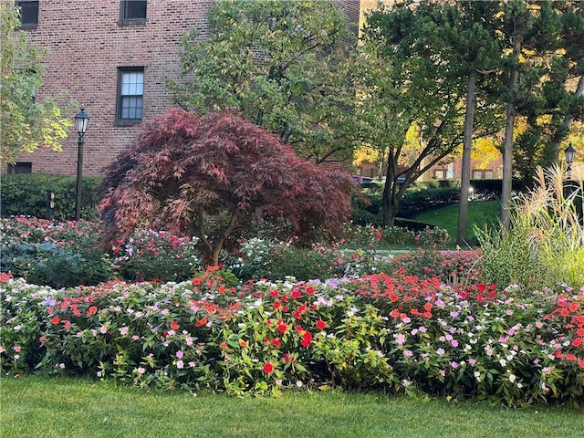 198 Garth Rd Unit 1D, Scarsdale, NY 10583 - view of yard