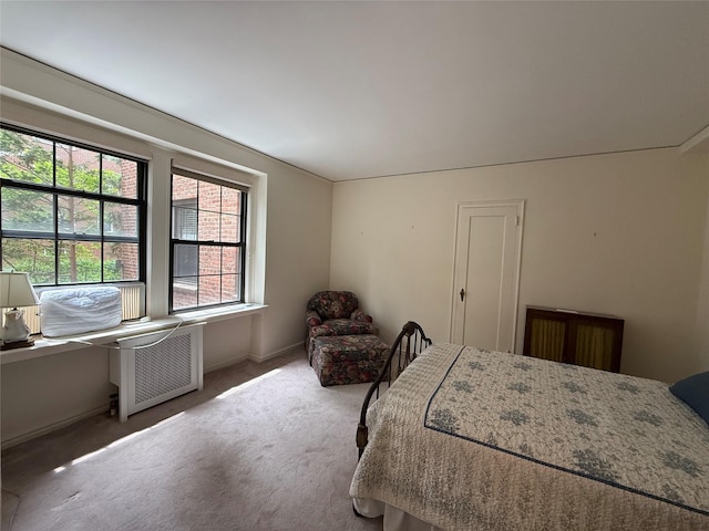 198 Garth Rd Unit 1D, Scarsdale, NY 10583 - bedroom featuring carpet and baseboards