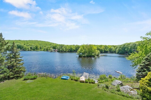 138 Jansen, Holmes, NY 12531 - water view with a forest