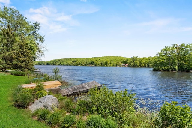 138 Jansen, Holmes, NY 12531 - water view featuring a forest and a boat dock