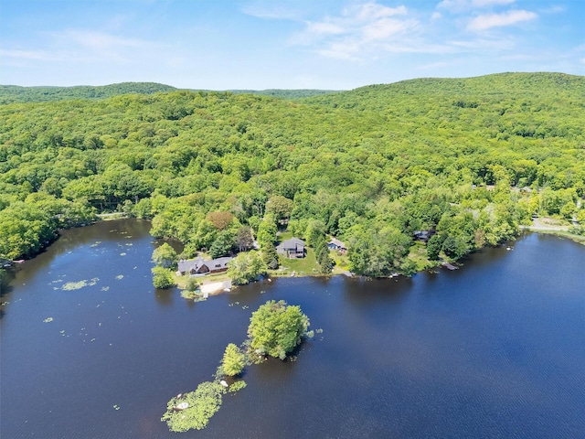 138 Jansen, Holmes, NY 12531 - aerial view of property and surrounding area featuring a heavily wooded area and a large body of water