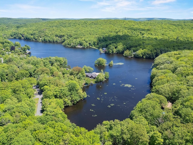 138 Jansen, Holmes, NY 12531 - drone / aerial view of a forest and a large body of water