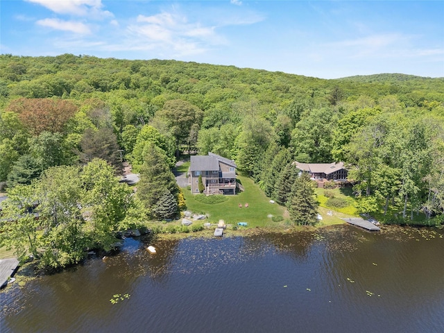 138 Jansen, Holmes, NY 12531 - view of subject property featuring a heavily wooded area and a nearby body of water