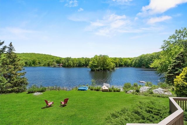 138 Jansen, Holmes, NY 12531 - water view featuring a heavily wooded area
