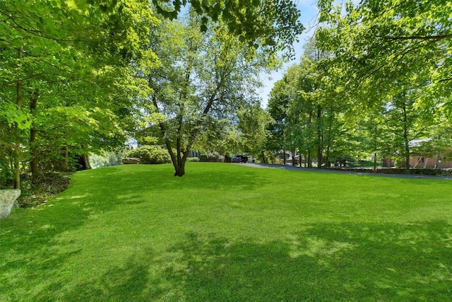 138 Jansen, Holmes, NY 12531 - view of green lawn