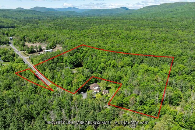 1716 Rte 212, Saugerties, NY 12477 - photo 44
