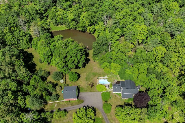 1716 Rte 212, Saugerties, NY 12477 - photo 46