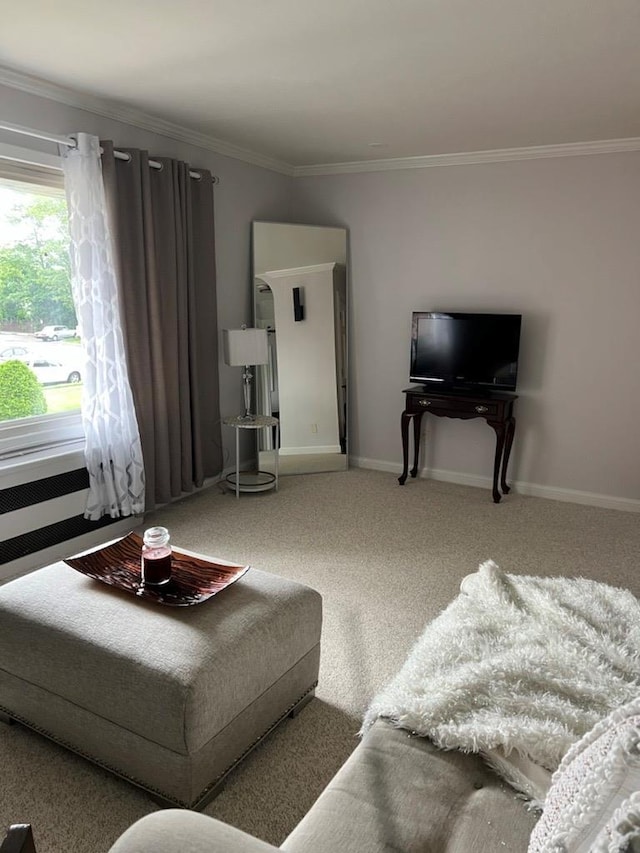 274 Edmunton Dr Unit K8, North Babylon, NY 11703 - carpeted living room with crown molding and baseboards