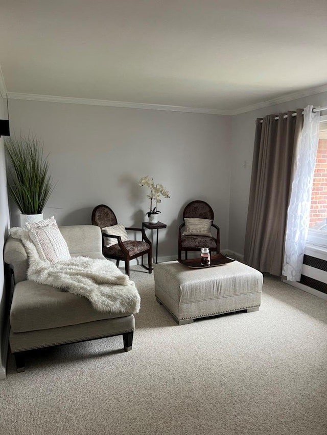 274 Edmunton Dr Unit K8, North Babylon, NY 11703 - living area with ornamental molding, light colored carpet, and baseboards