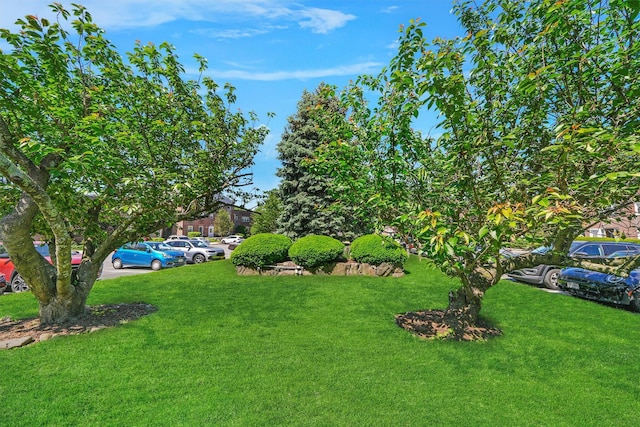 4 Leewood Cir Unit 4L, Eastchester, NY 10709 - view of green lawn