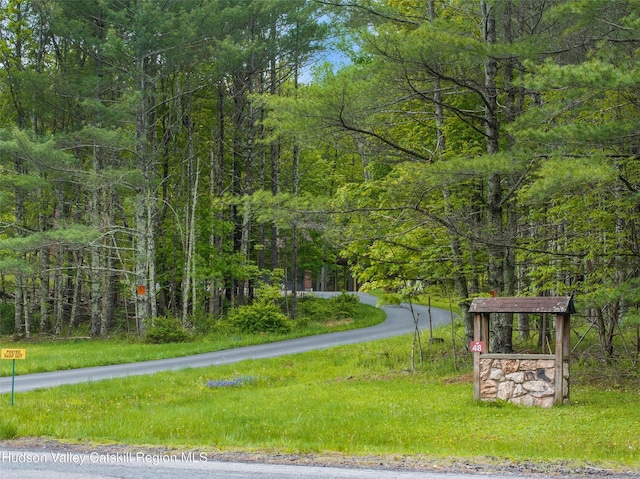 48 Deer Park Rd, Cairo, NY 12473 - view of home's community with a view of trees