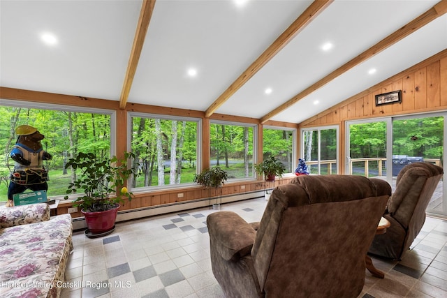 48 Deer Park Rd, Cairo, NY 12473 - living room with recessed lighting