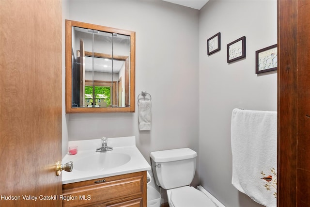 48 Deer Park Rd, Cairo, NY 12473 - bathroom featuring vanity and toilet