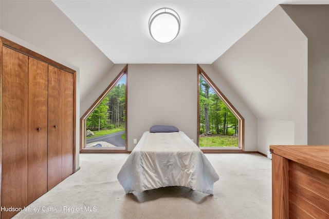 48 Deer Park Rd, Cairo, NY 12473 - bedroom featuring carpet flooring, multiple windows, vaulted ceiling, and baseboards