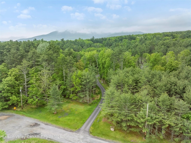 48 Deer Park Rd, Cairo, NY 12473 - aerial view of a heavily wooded area and mountains