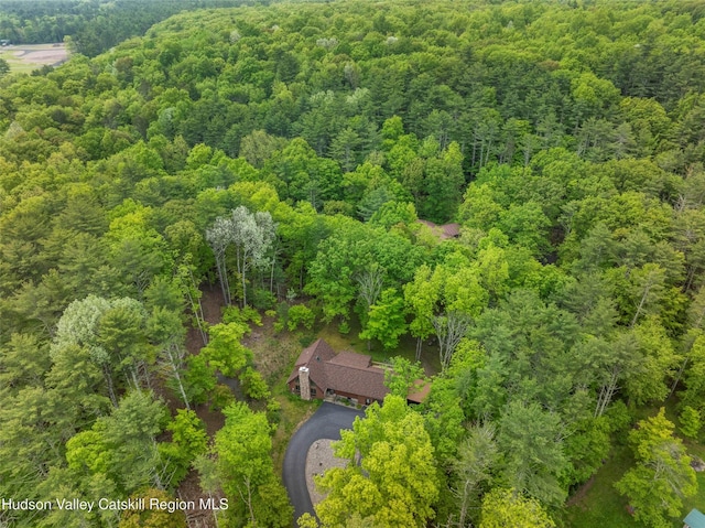 48 Deer Park Rd, Cairo, NY 12473 - view of subject property with a forest