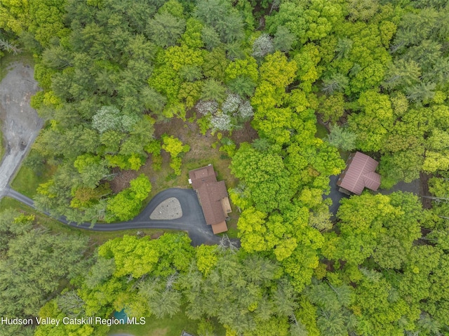 48 Deer Park Rd, Cairo, NY 12473 - aerial view of property and surrounding area
