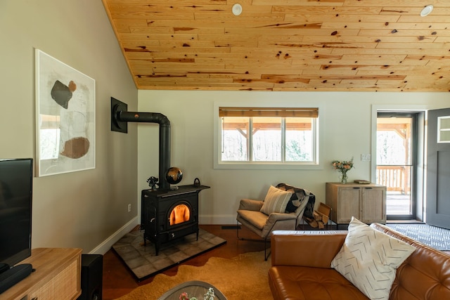 235 Terwilliger Rd, Livingston Manor, NY 12758 - living room featuring wood ceiling, vaulted ceiling, plenty of natural light, a wood stove, and baseboards