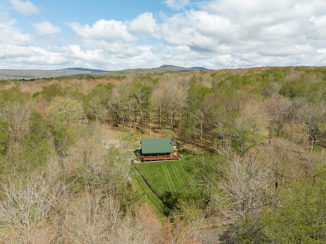 235 Terwilliger Rd, Livingston Manor, NY 12758 - view of rural area with a heavily wooded area