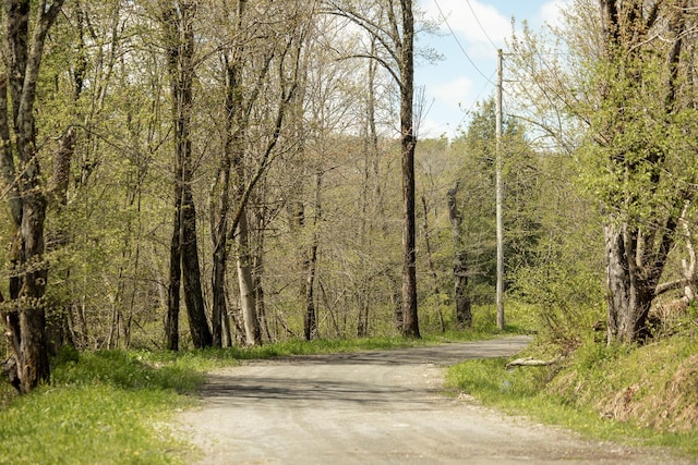 235 Terwilliger Rd, Livingston Manor, NY 12758 - view of dirt / gravel road featuring a forest view