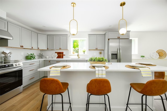 300 Seminary Hill Rd, Carmel, NY 10512 - kitchen featuring stainless steel appliances, gray cabinetry, under cabinet range hood, a sink, and light countertops