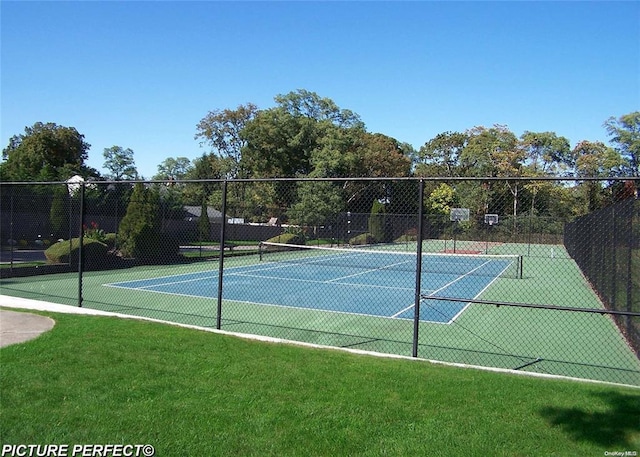 8 Cedar Ct Unit 8, Selden, NY 11784 - view of tennis court
