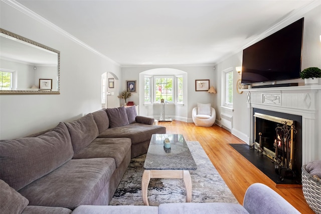 21 Deepdale Dr, Manhasset, NY 11030 - living room featuring arched walkways, light wood-style floors, ornamental molding, and plenty of natural light