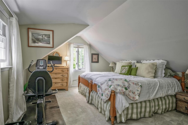 28 Valley Rd, Manhasset, NY 11030 - bedroom with carpet floors and vaulted ceiling