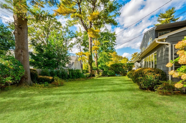 28 Valley Rd, Manhasset, NY 11030 - view of green lawn